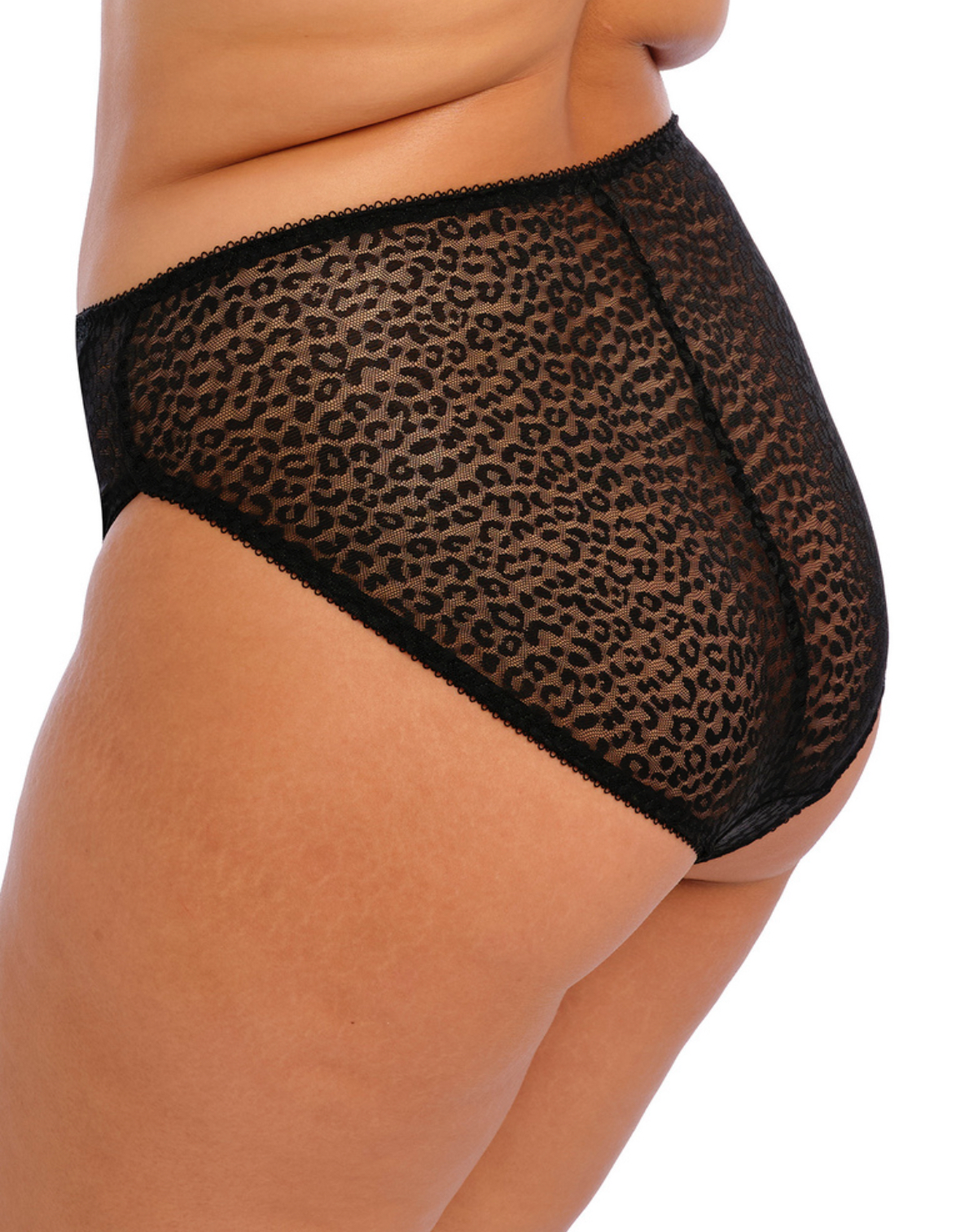 Elomi Lucie High Leg Brief